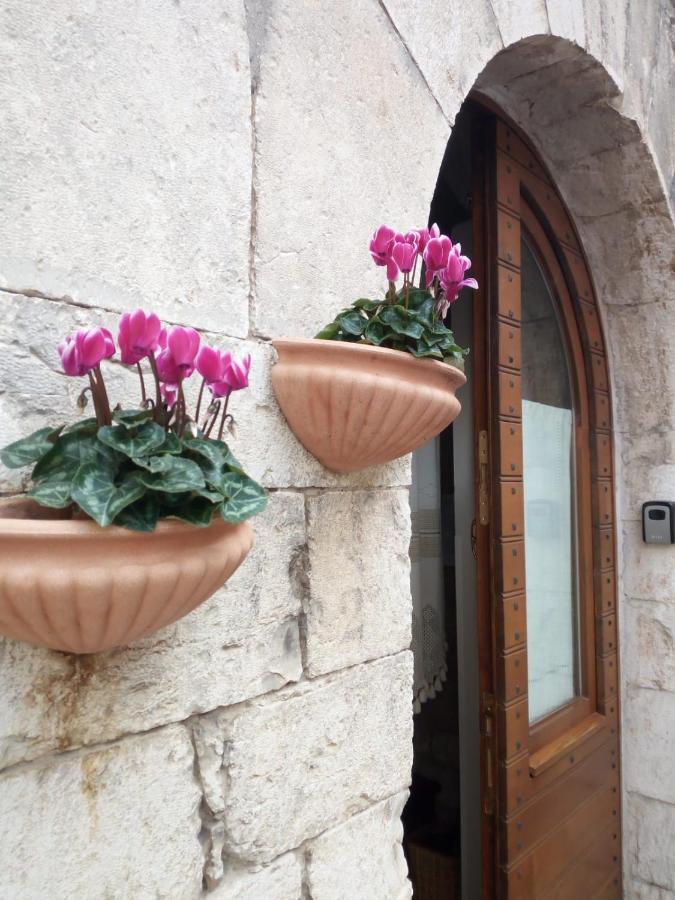 La Chiocciola Assisi Apartment Ngoại thất bức ảnh